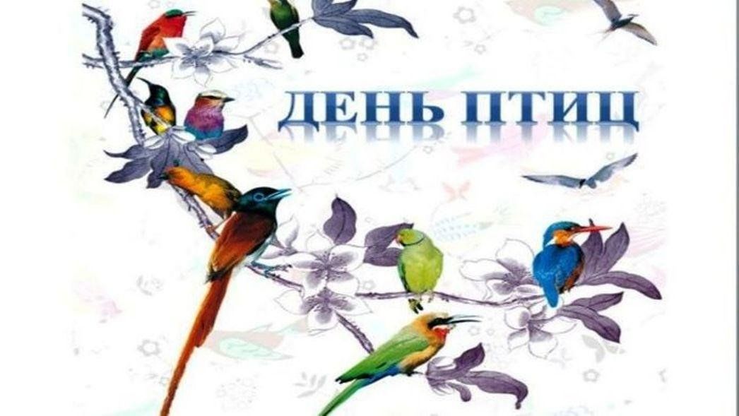 День птиц.